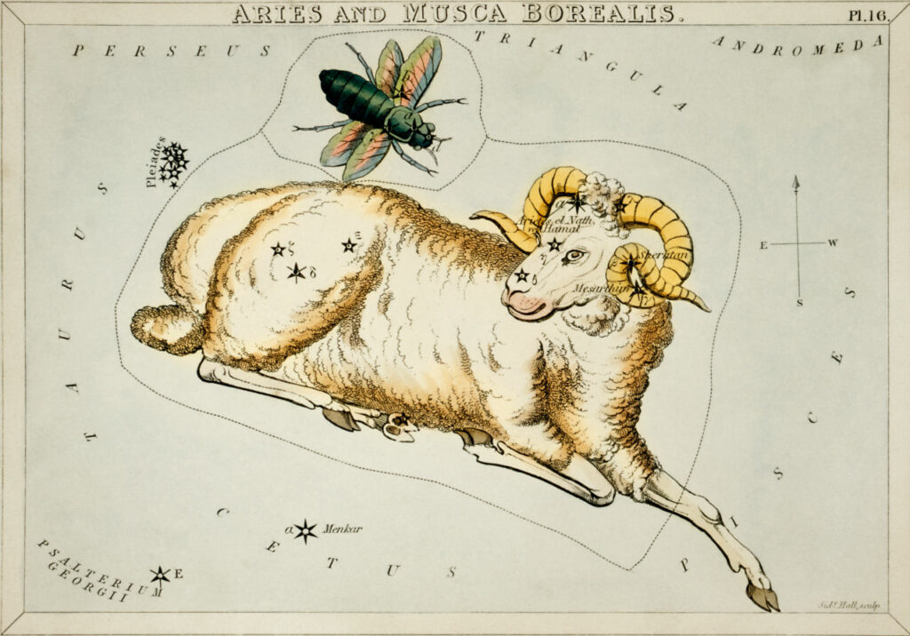 The constellation Aries represented by a Ram.
