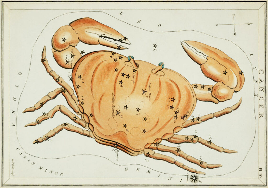 the constellation of the sign Cancer depicting the crab