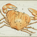 the constellation of the sign Cancer depicting the crab