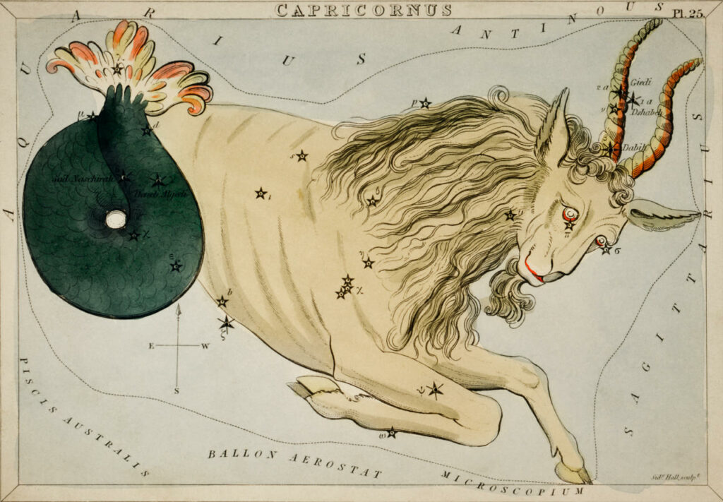 Capricorn, the goatfish illustration - A goatfist straddling across the Capricorn constellation