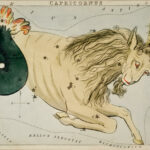 Capricorn, the goatfish illustration - A goatfist straddling across the Capricorn constellation