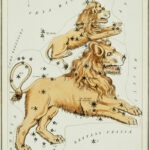 the constellation of leo major and leo minor shown with the two lions