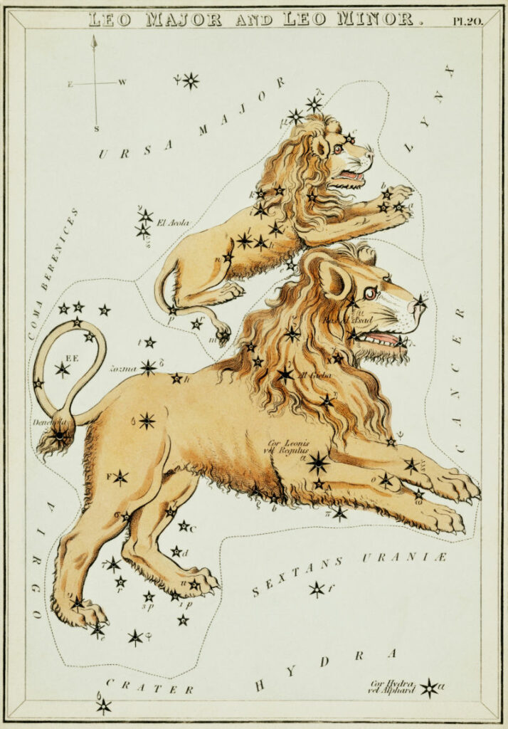 the constellation of leo major and leo minor shown with the two lions