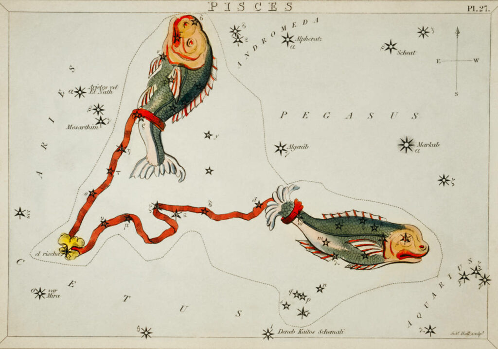 Pisces by Sidney Hall