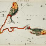 Pisces by Sidney Hall