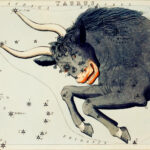The constellation of Taurus depicting the bull.